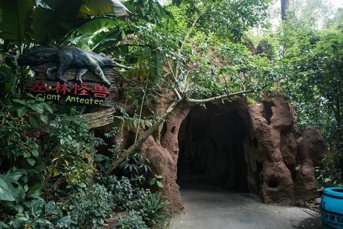 长隆野生动物世界暑假攻略,广州长隆野生动物园亲子一日游攻略