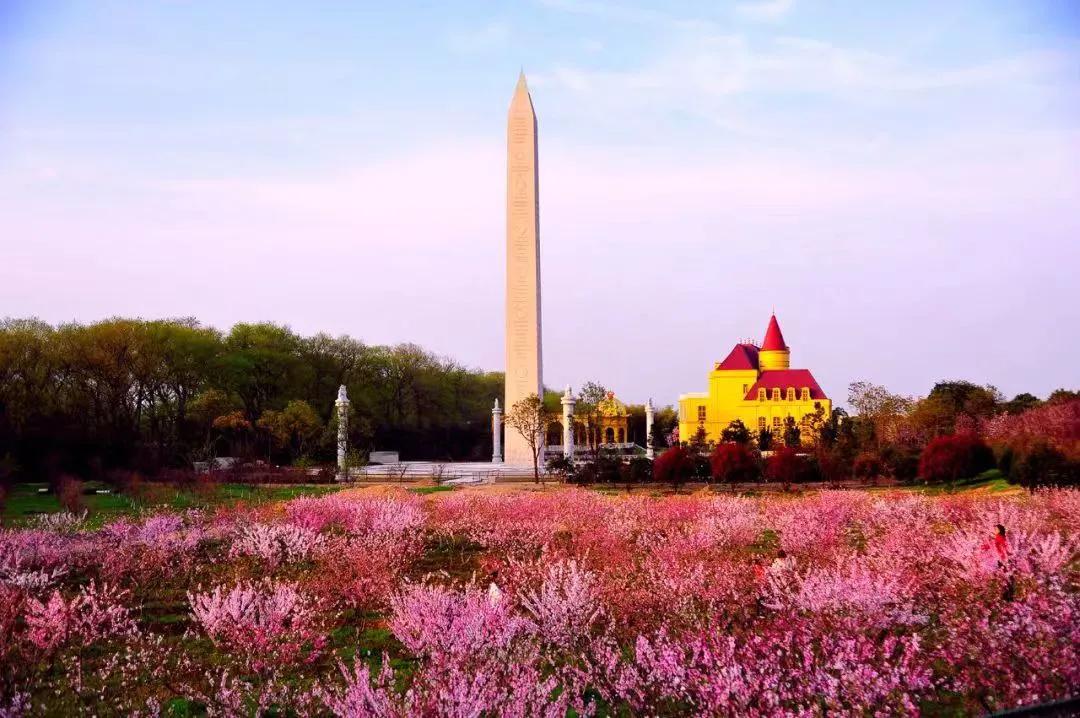 合肥有哪些网红打卡地,合肥瑶海网红打卡地