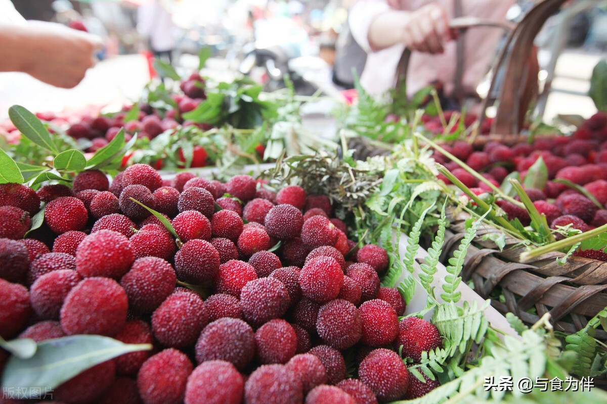 杨梅酒怎么泡才香浓郁又好喝,杨梅酒怎么泡好喝又简单