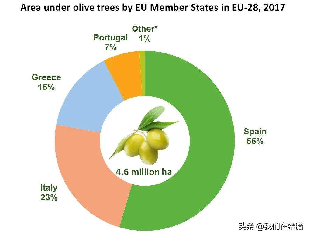 希腊和西班牙哪个橄榄油正宗好吃,西班牙和意大利为什么产橄榄油