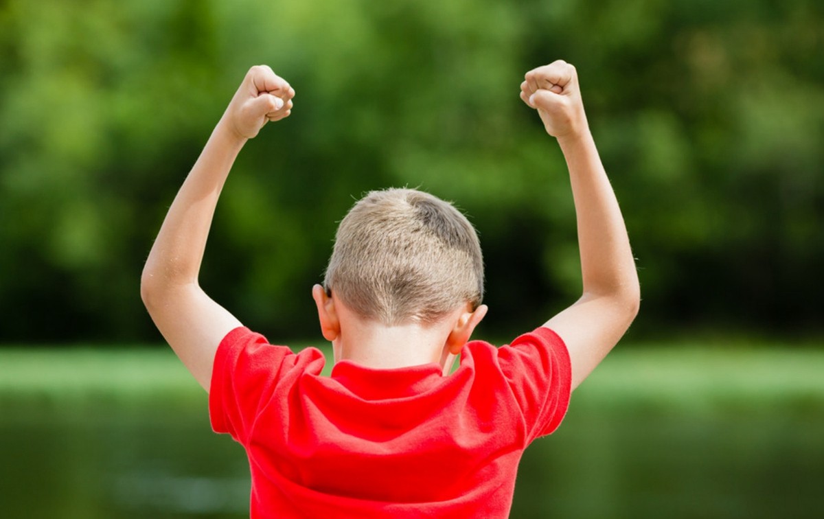 白岩松说人的智商和情商,情商和智商哪个重要白岩松