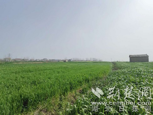 春耕无人机,春耕播种无人机