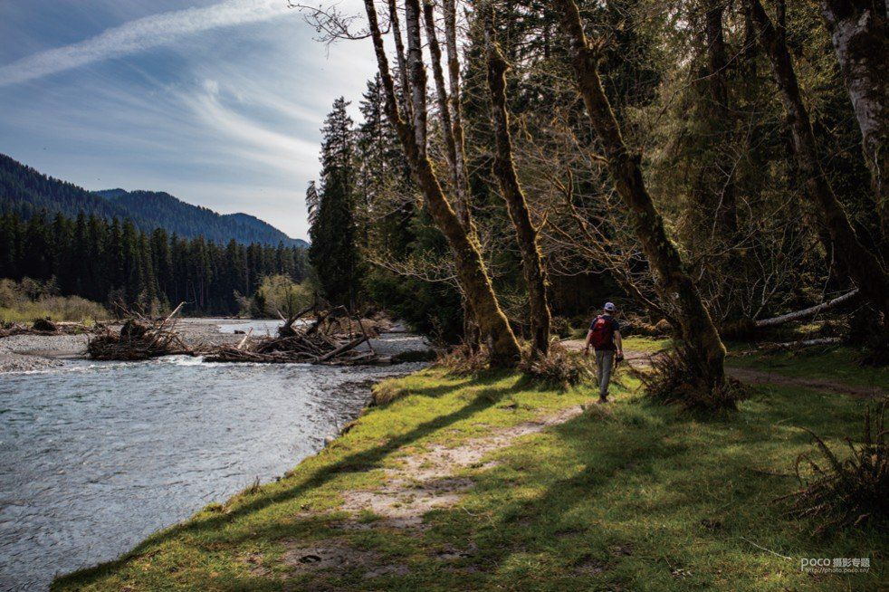 结合摄影知识谈如何拍好一张照片,如何拍出一张优美的照片摄影思路