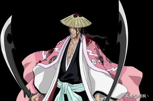 死神护庭十三番队详细介绍,死神护庭十三队长