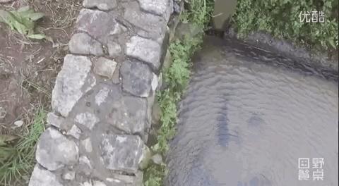 马云去的江西小镇,马云在浙江几个小镇