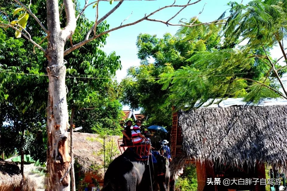 泰国风情之旅完整版小说,泰国风情十日游