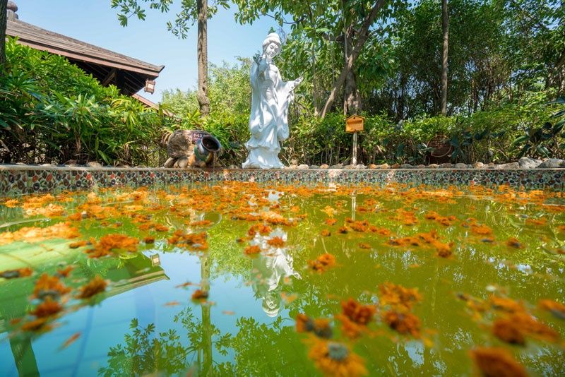 厦门天沐温泉年票,厦门天沐温泉恐龙侏罗纪