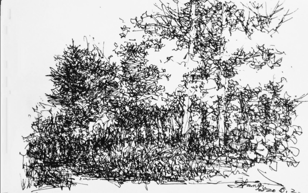 退休了想做什么工作,退休之后你想做什么