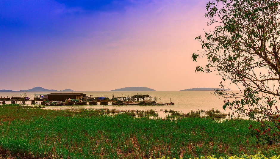 苏州西山红叶最佳观赏期,苏州西山小众打卡地