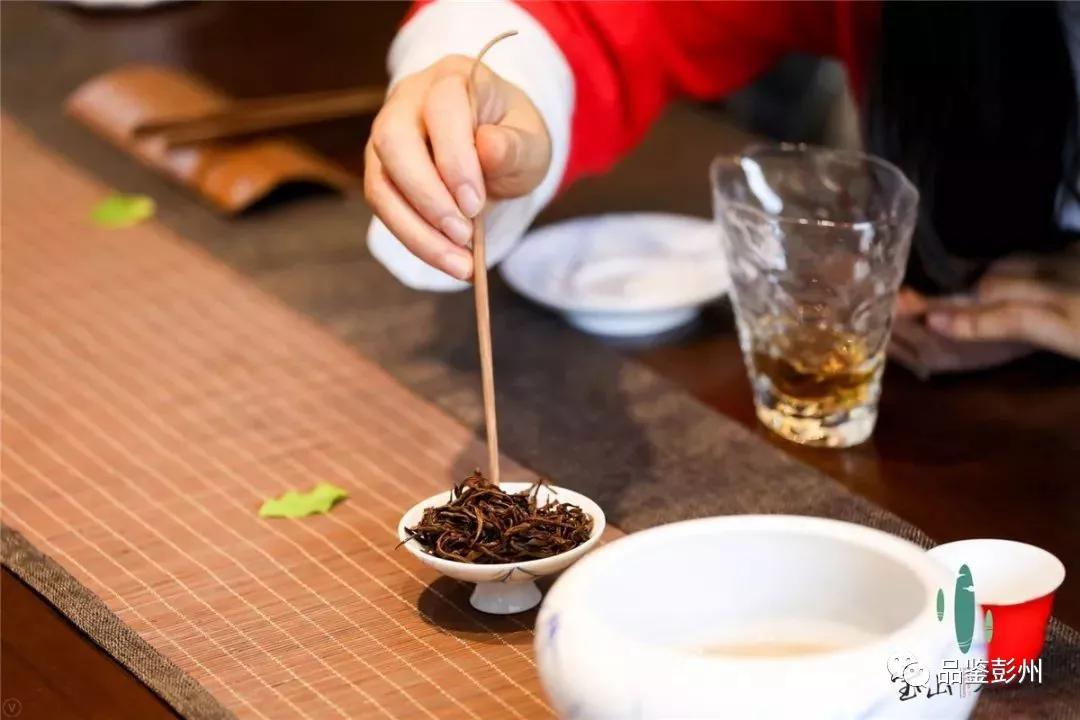 彭彭运气,彭彭2019年作品