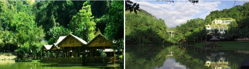 西双版纳原始森林门票,西双版纳所有景点门票一览表