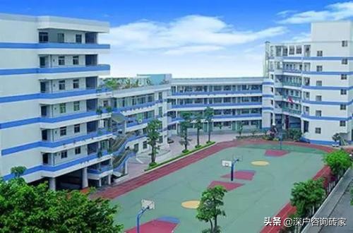 深圳最好的小学是什么,深圳排名前十的小学2019