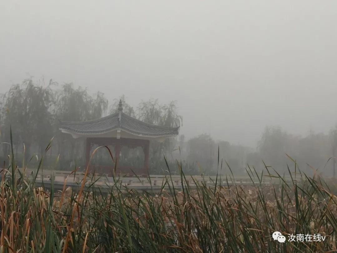 汝南县发布大雾橙色预警,大雾突然来袭视频