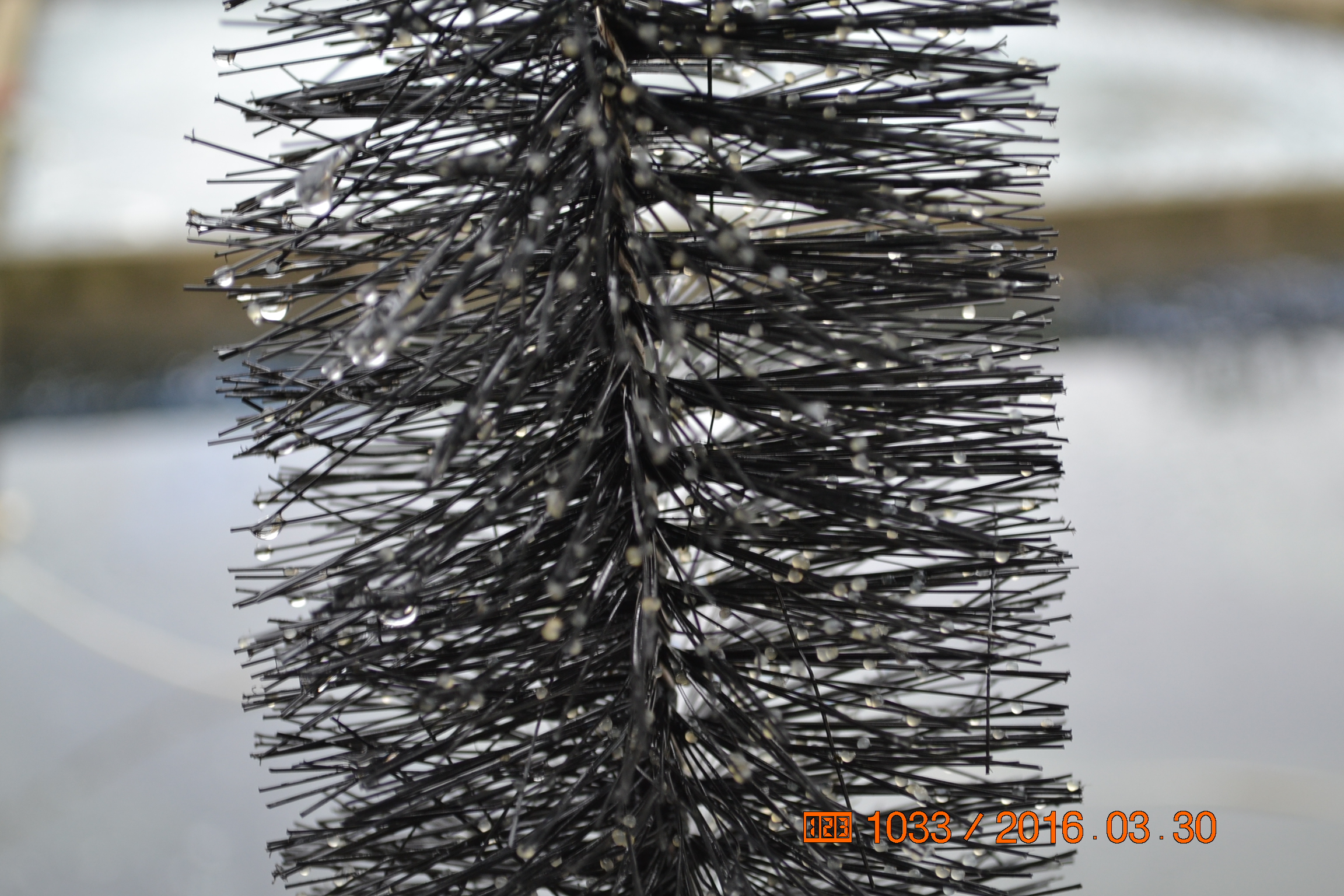 湖南最好的锦鲤养殖基地,湘潭锦鲤养殖