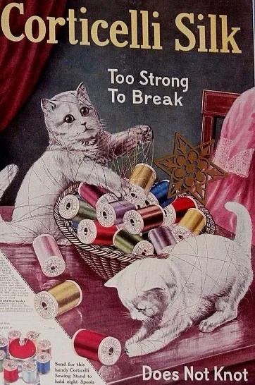 为什么古早广告会出现猫,为何古早广告中经常出现猫