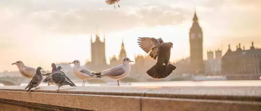 涓浗瀵屼汉鎶曡祫缇庡浗鎴夸骇,瀵屼汉鎬庝箞鎶曡祫娴峰鎴夸骇