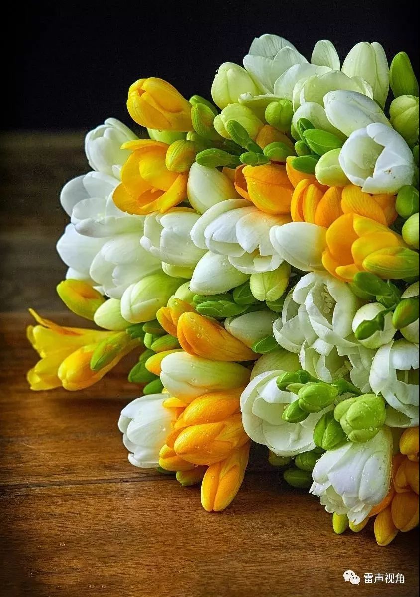 小苍兰什么香味,好闻的小苍兰味香水