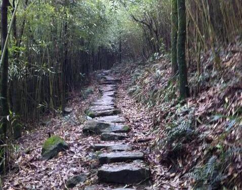 优秀作文《宁静的冬》从此风雨不急，带着那片静去追梦。