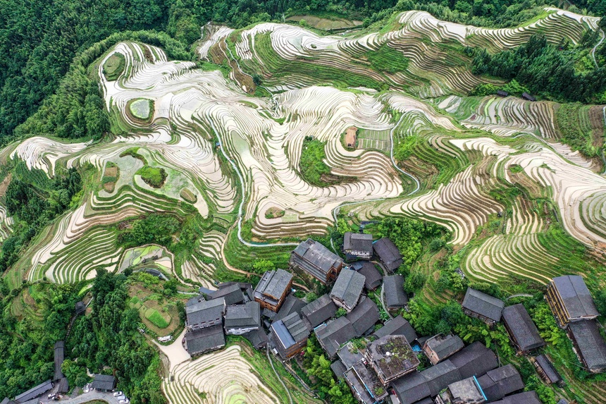 桂林鸡血玉手镯欣赏,天然玉石桂林鸡血玉鉴定