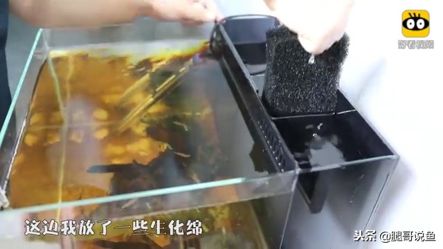 大缸什么过滤效果最好,什么过滤方式小缸效果最佳