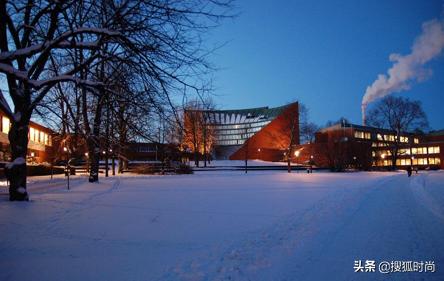 艺术类留学生优势,普通艺术生留学应该去哪所学校