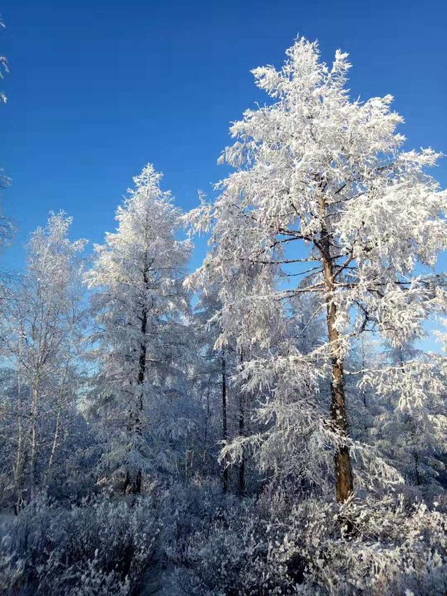 2018江苏广播电视新闻奖,2015年度江苏广播电视彩虹奖