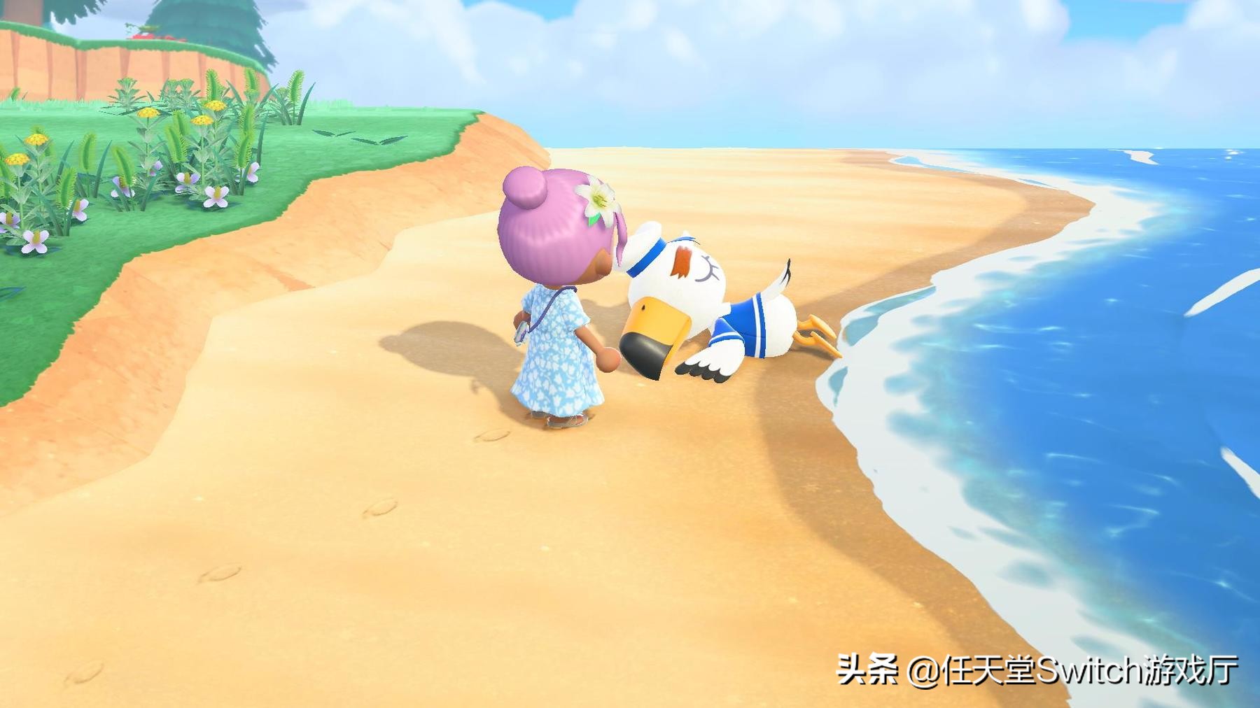 这就是向往的生活综合分析,这就是向往的生活原创视频