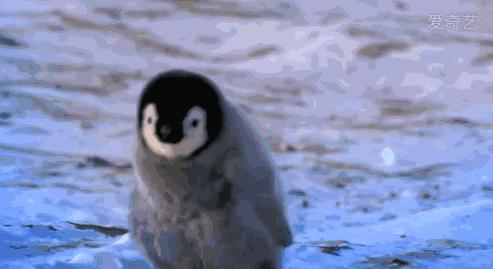 孕妇走路时孩子突然掉下来！为什么生孩子这么轻松？原因不简单