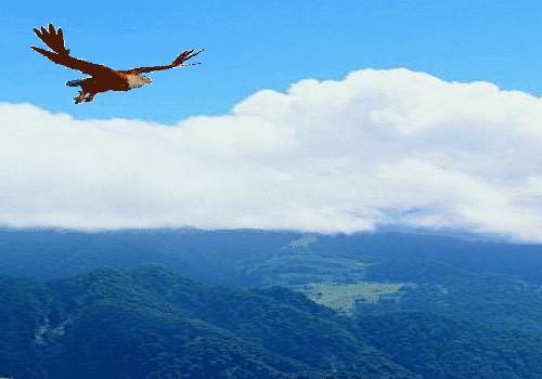 虫草山水画,四季花草山水画作品欣赏