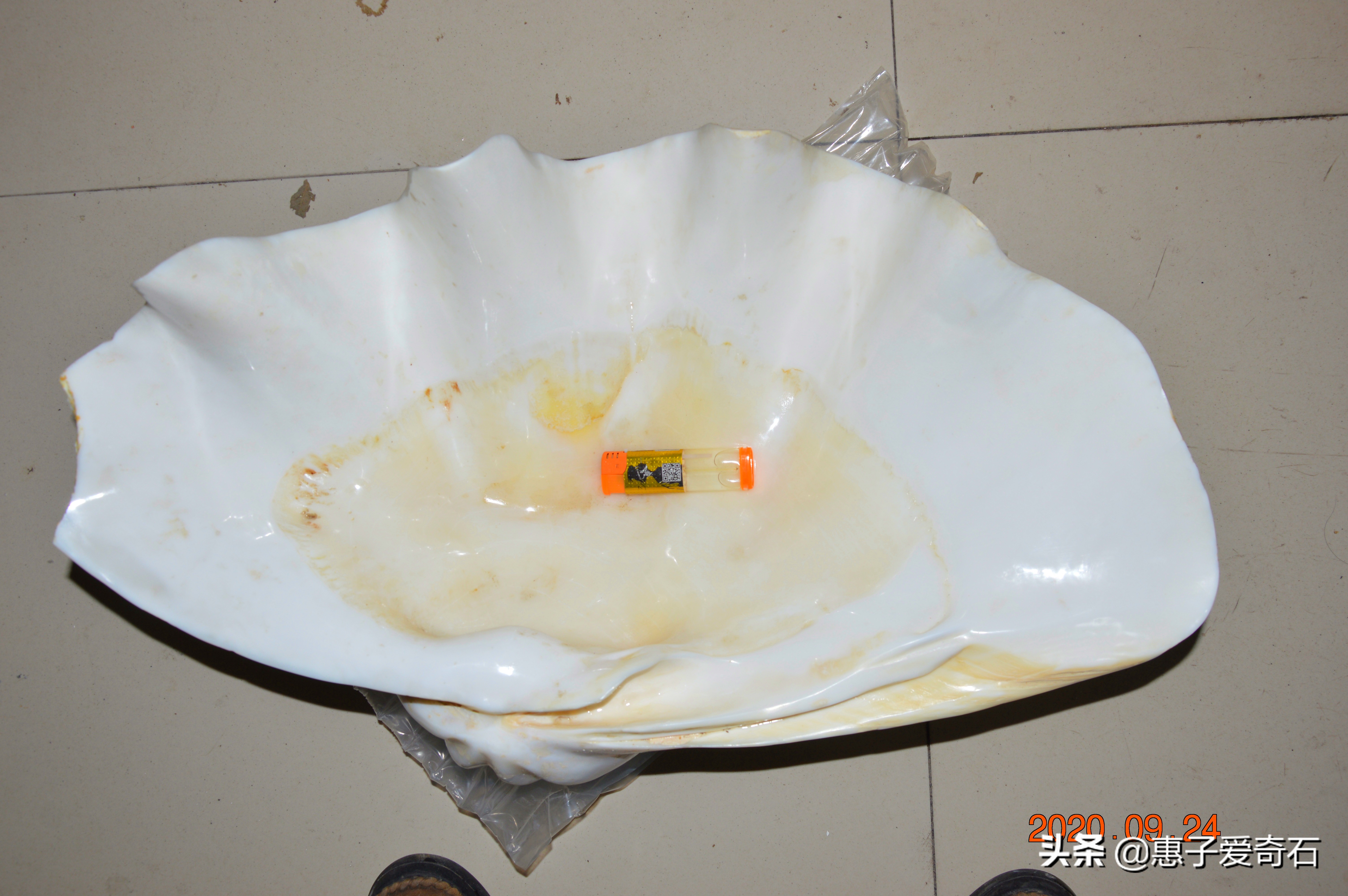 台湾省奇石玉石一览,中国四大奇石价值连城