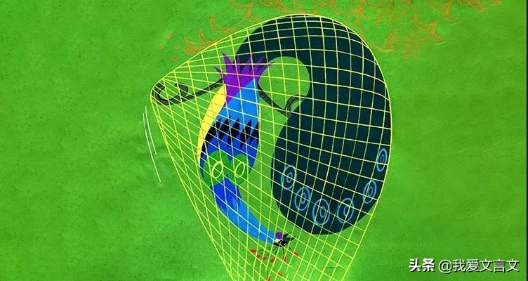 古代文言文大全摘抄及翻译,寓言故事南人捕孔雀