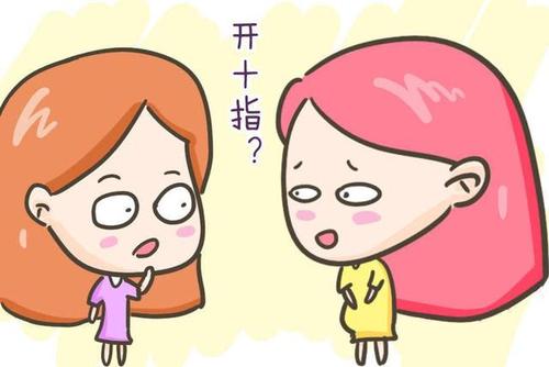 开十指到底是什么,开十指就是十个指头