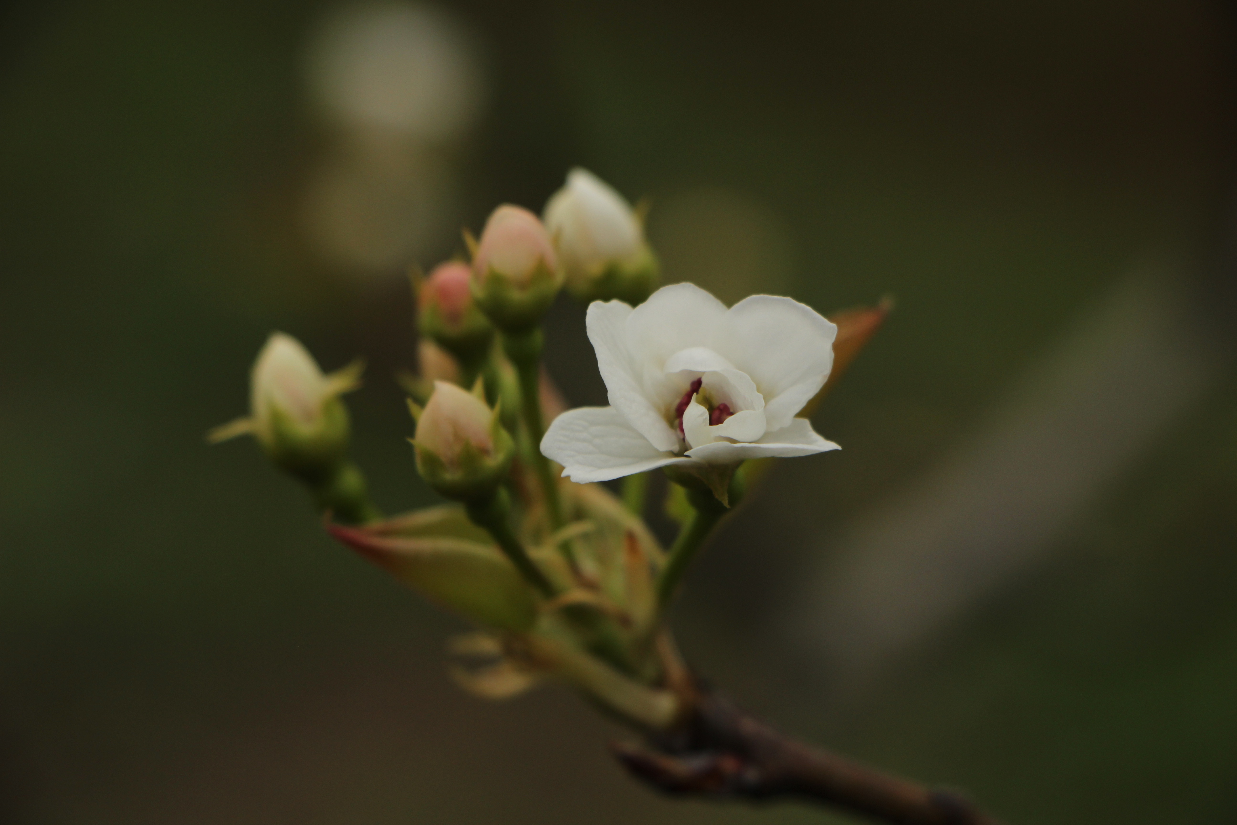 恶有恶报应该怎么做,恶有恶报还能补救吗