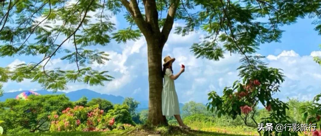 介绍一下云南的西双版纳,云南西双版纳的介绍景点