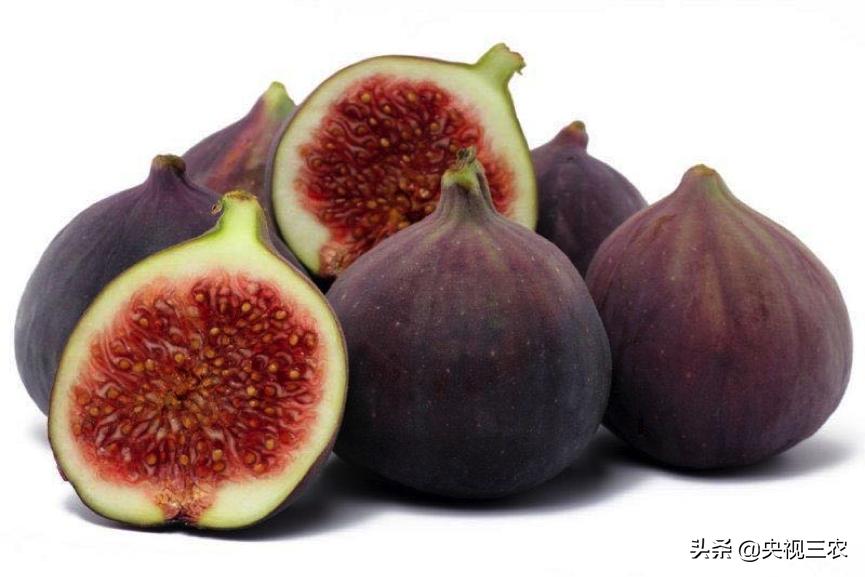 无花果有什么功效专家回答,无花果的秘密