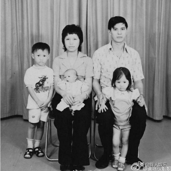 袁咏仪图文故事,袁咏仪张智霖年轻时故事