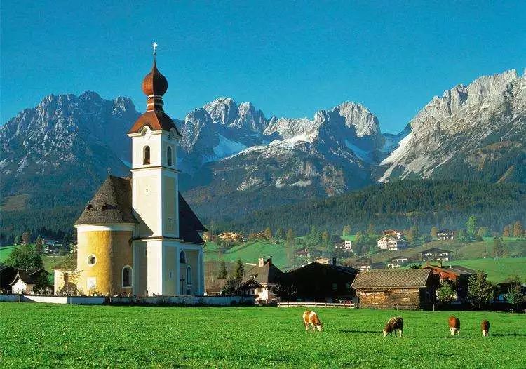 探秘！中国有机农业该如何发力（附国外优秀案例）