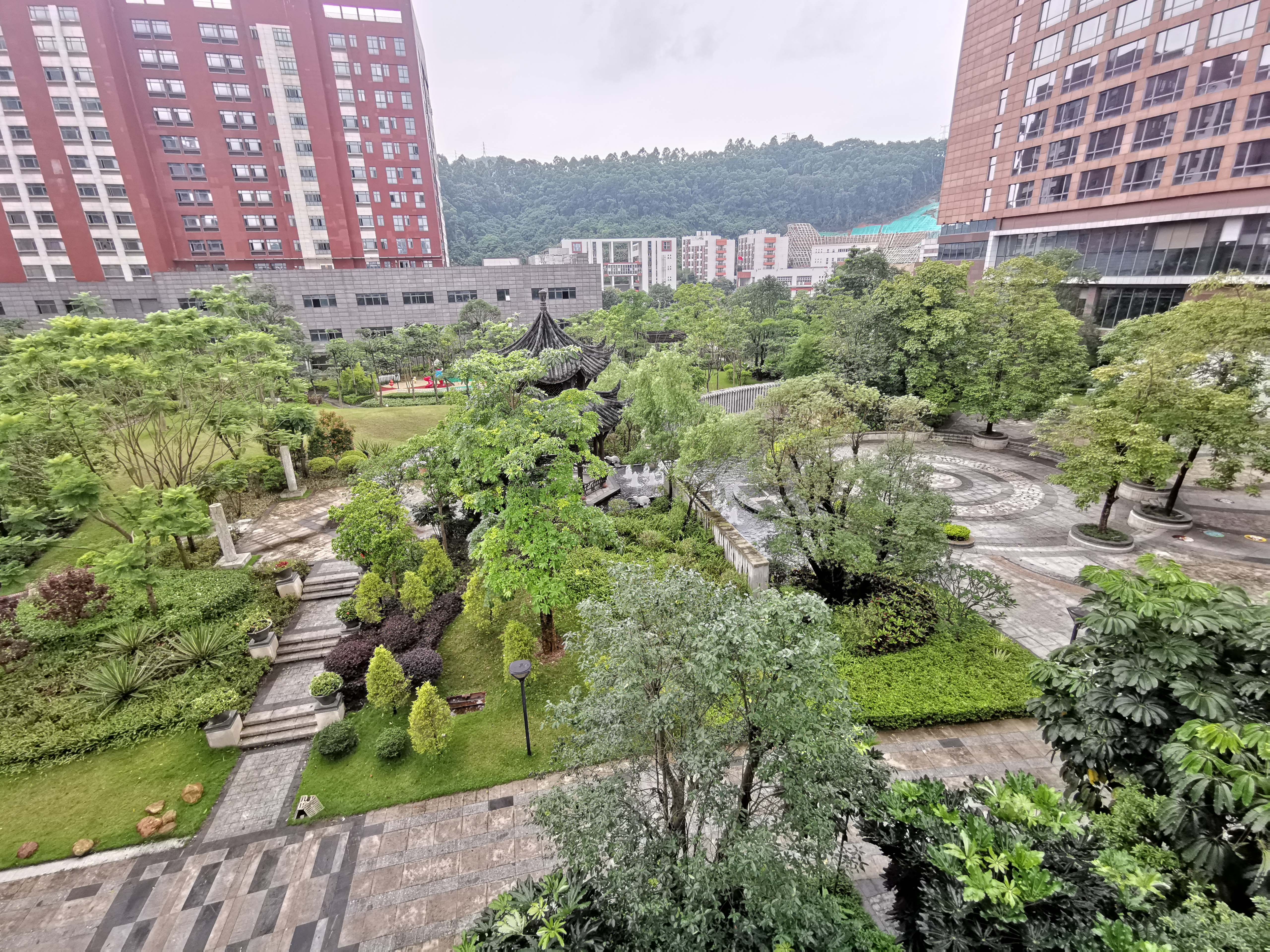 广州汇华希尔顿逸林酒店月饼,广州汇华希尔顿逸林酒店自助餐厅