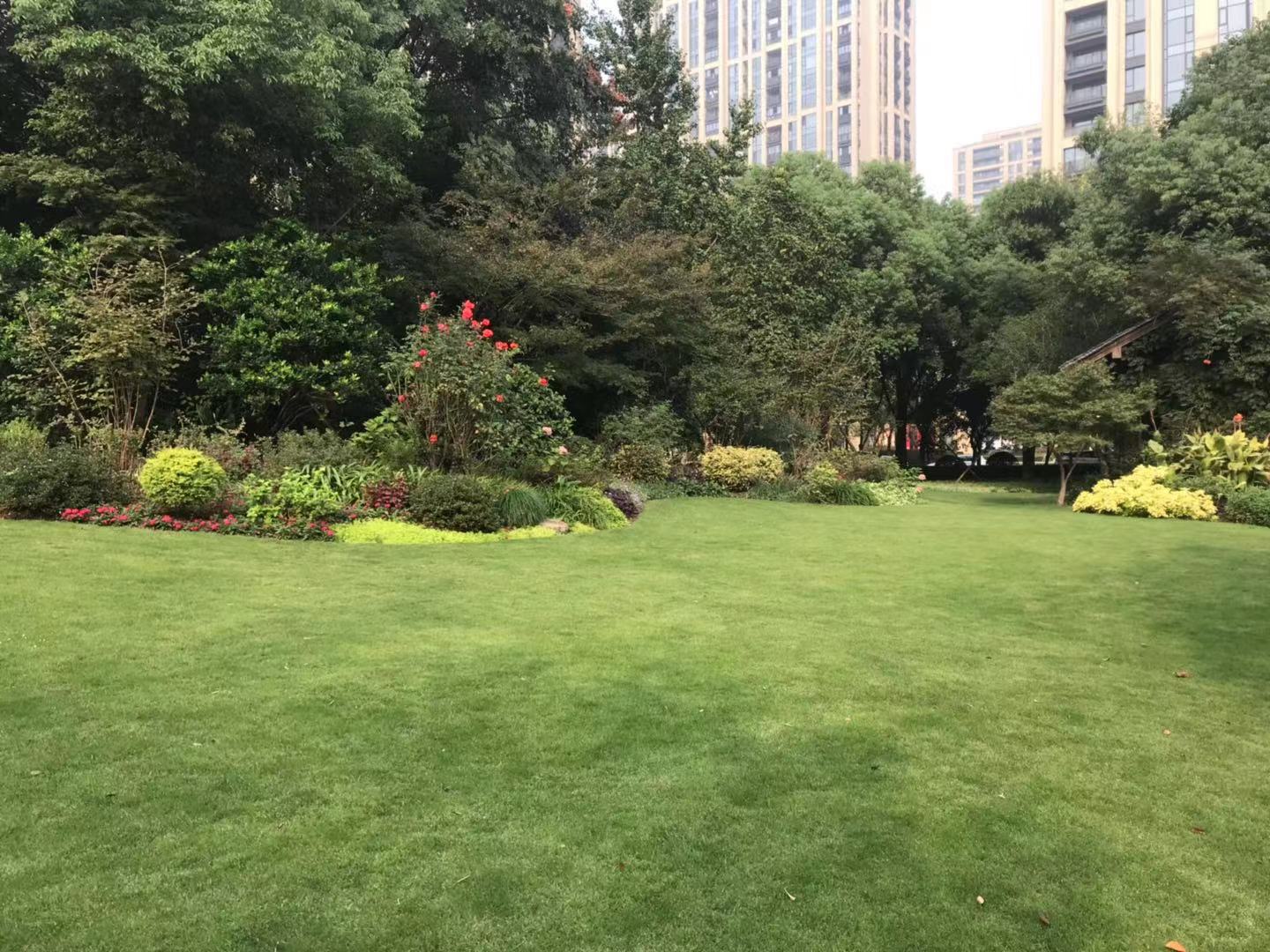 水乡园林之美,园林景观大美呈现