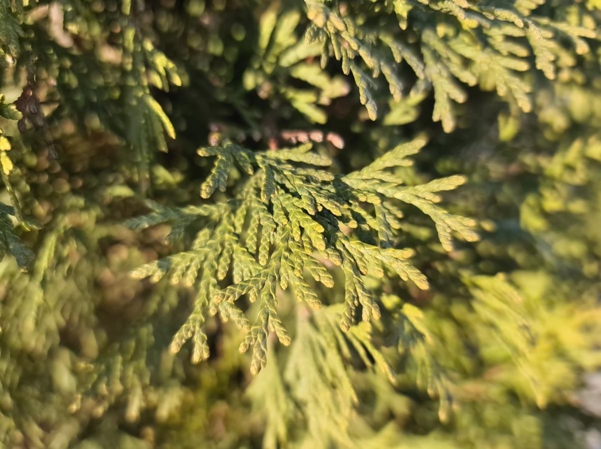 评测三星s22ultra,三星s21ultra评测视频科技美学