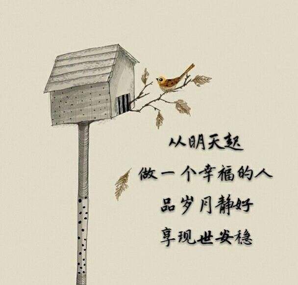 胡兰成过往人生,胡兰成今生今世已惘然