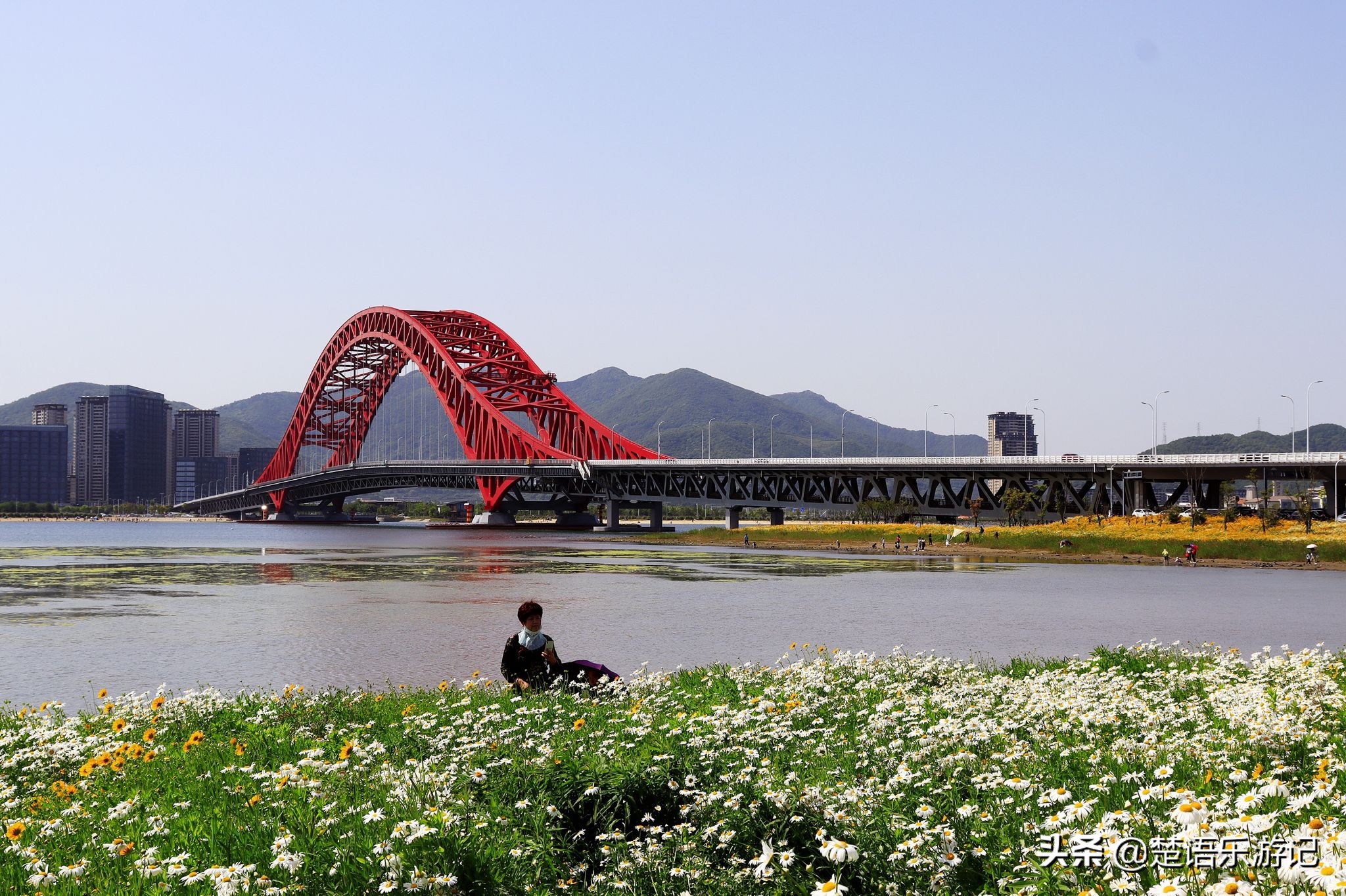 宁波大闸桥花海,宁波风景花海