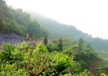 有个地方叫巴中抖音版,平昌好玩的地方