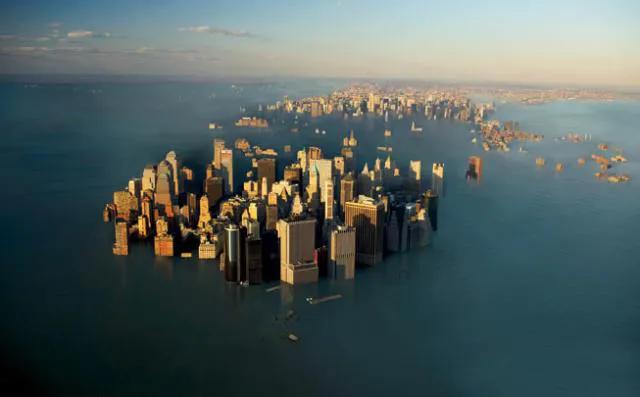 海豚“杰克”在暗礁海域为船只引航41年,爱让我们更懂得善待生命