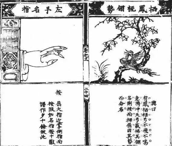 龚一古琴入门指法第1讲,古琴入门指法表