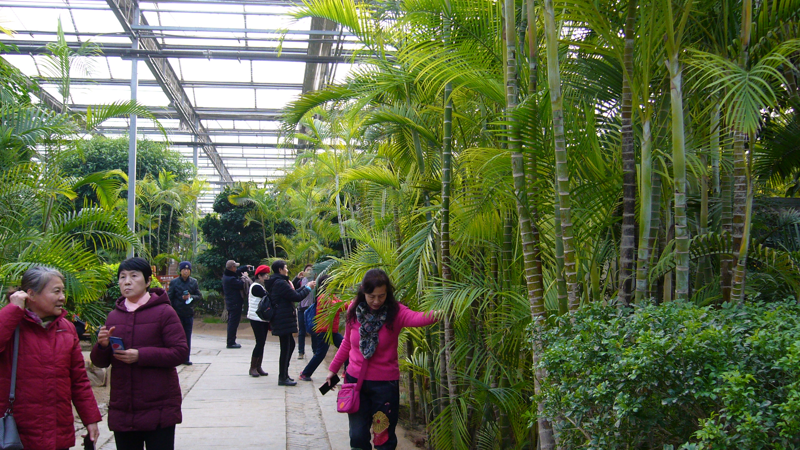 呀路古热带植物园和九天休闲谷,九天休闲谷热带植物园