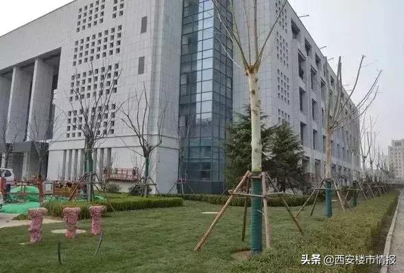 交大创新港校区落户,西安交大创新港第一批新生入驻