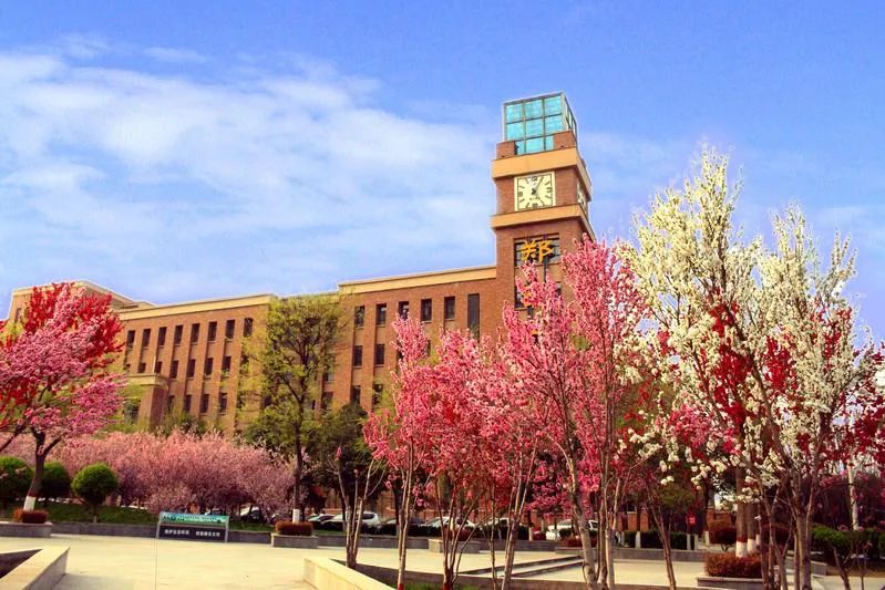 郑州实力最强高中TOP25!家长们建议收藏