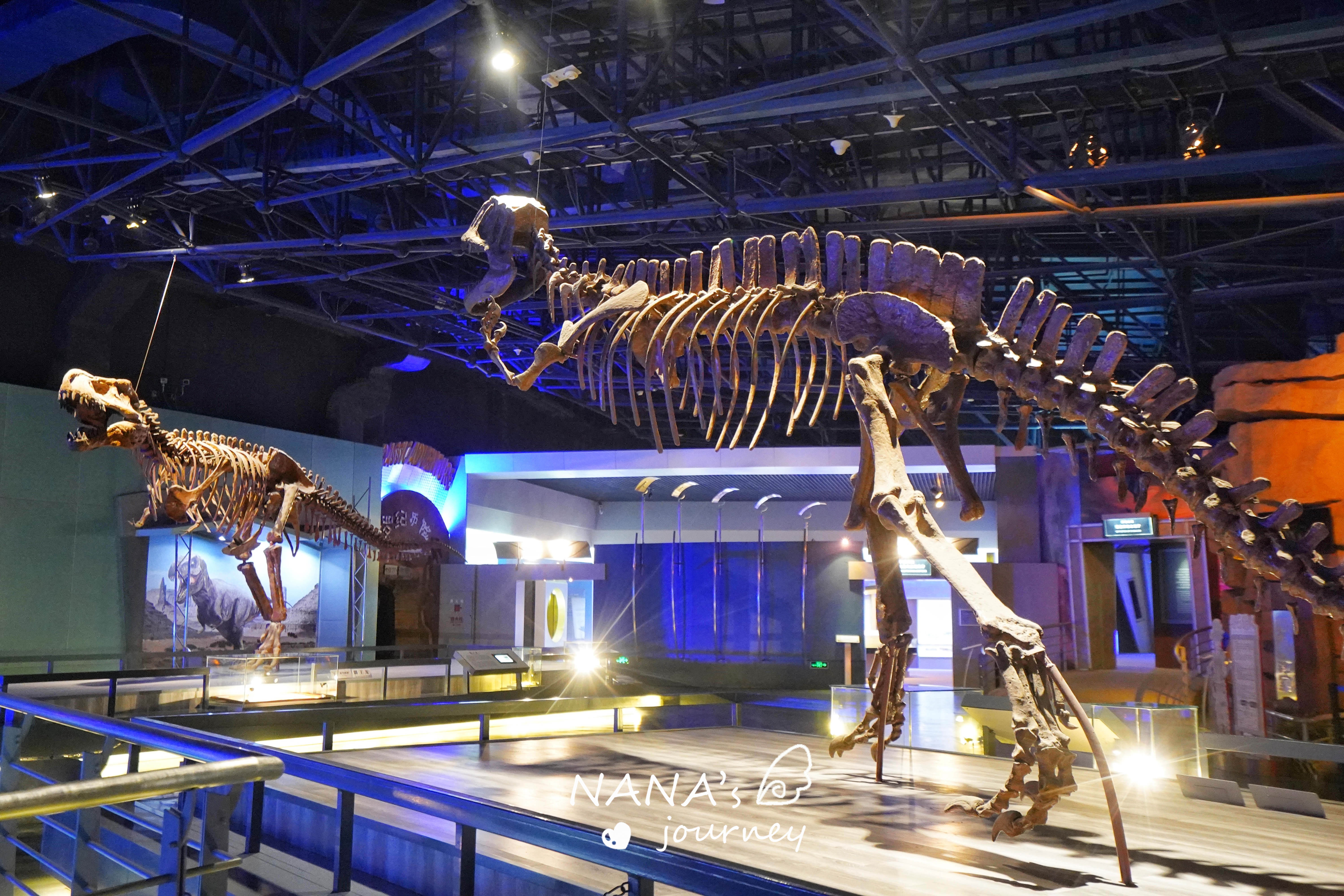 杭州去常州恐龙园攻略,常州恐龙园幼儿玩转攻略