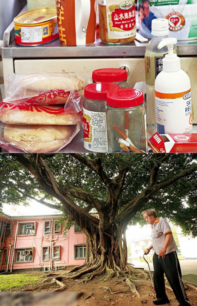 澳门叠码仔香港驯马师，靠豪门致富的那些人，他们的故事也很精彩